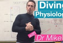 The Respiratory System