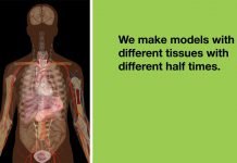 Compartments – Decompression Theory