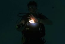 Communicating while Night Diving