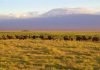 Tsavo & Amboseli Safari & Diving Package Amboseli National Park
