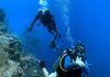 SSI Classified Diving Program on Dive Internships Classified Diving Program
