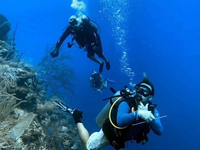Classified Diving Program