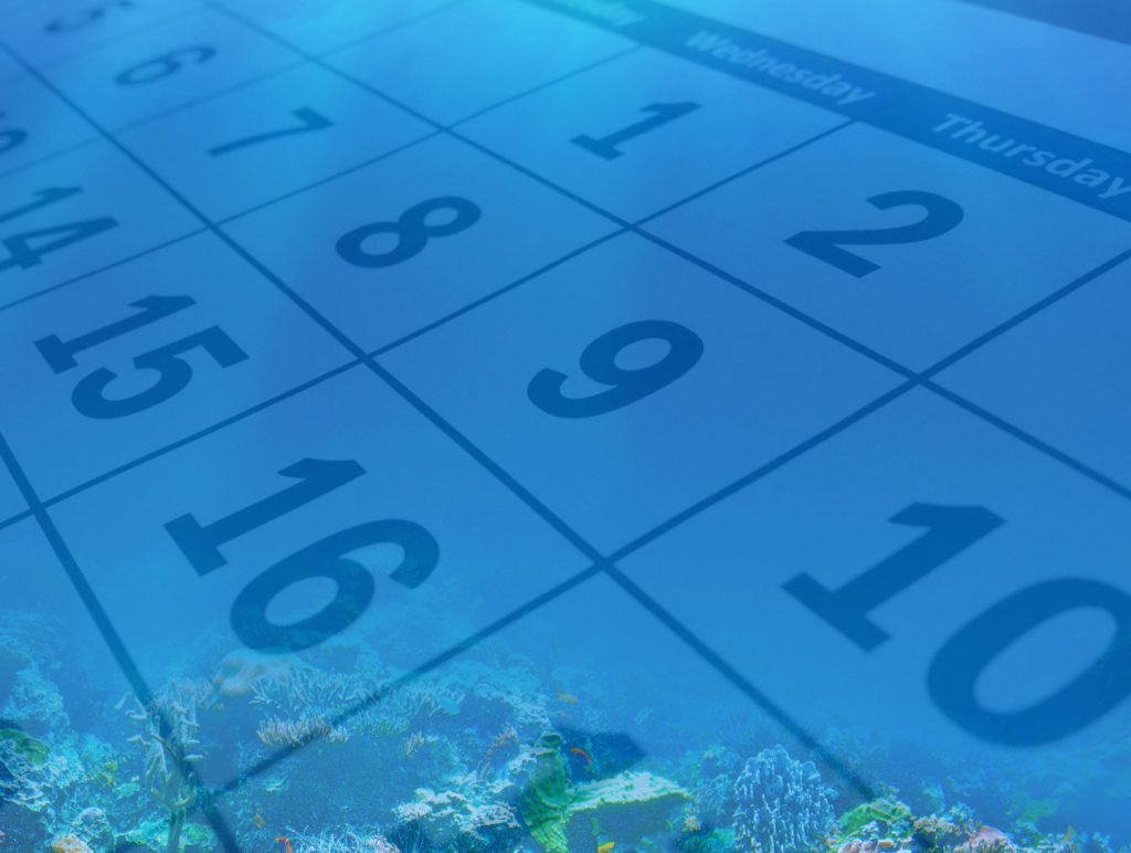 Dive internship itinerary