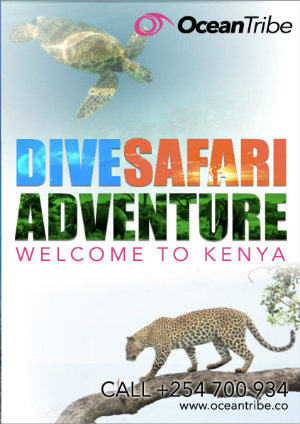 Download Dive and Safari Package Brochure