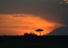 Masai Mara National Reserve Guide Masai Mara