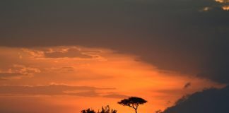 Masai Mara National Reserve Guide Masai Mara