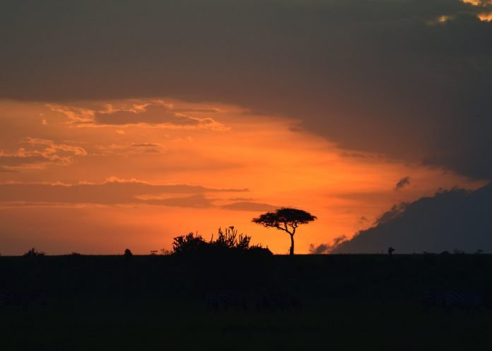 Masai Mara