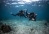 Beginner Dive Package- Open Water & Advanced Open Water and Advanced Open Water package