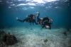 Beginner Dive Package- Open Water & Advanced Open Water and Advanced Open Water package