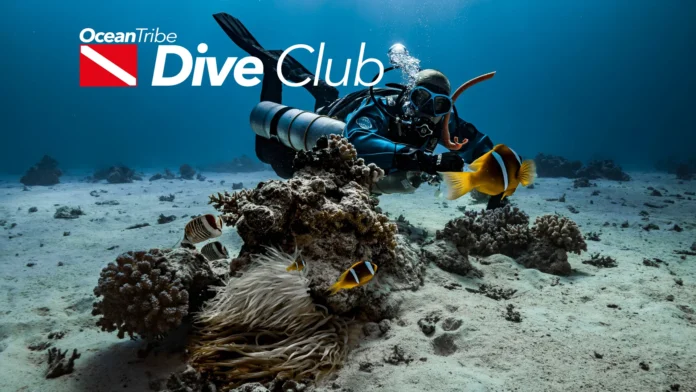 Ocean Tribe Dive Club