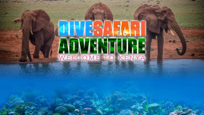 Dive and Safari Packages in Kenya