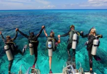 How Do I Become a Diving Instructor? Diving Instructor courses