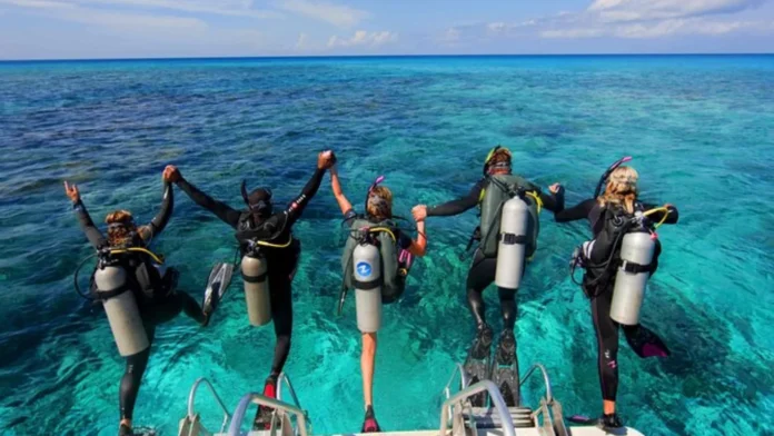 Diving Instructor courses