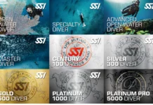 Are SSI Certifications Valid All Over the World? SSI Cards
