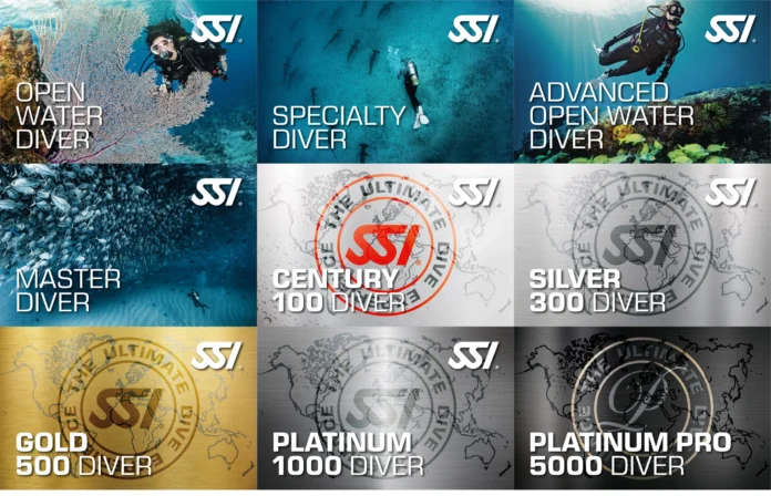 SSI Cards