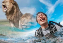 Become a Divemaster in Kenya in 2026 Divemaster Internship in Kenya