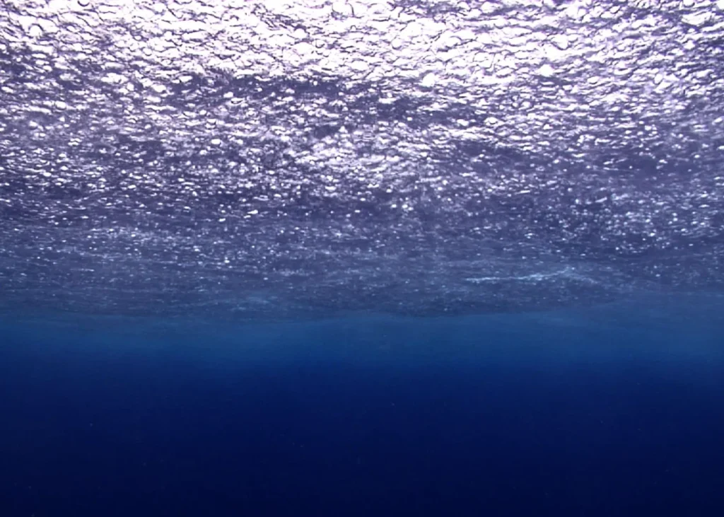 scuba dive in the rain