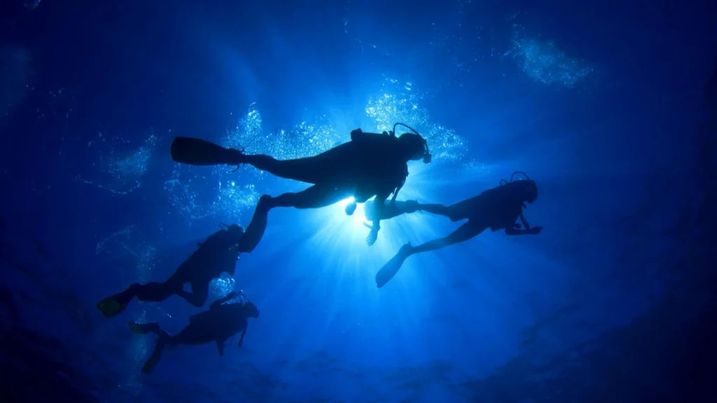 Get dive experience