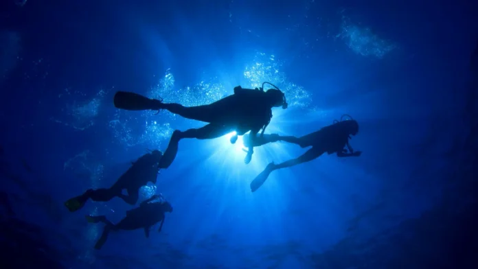 Get dive experience