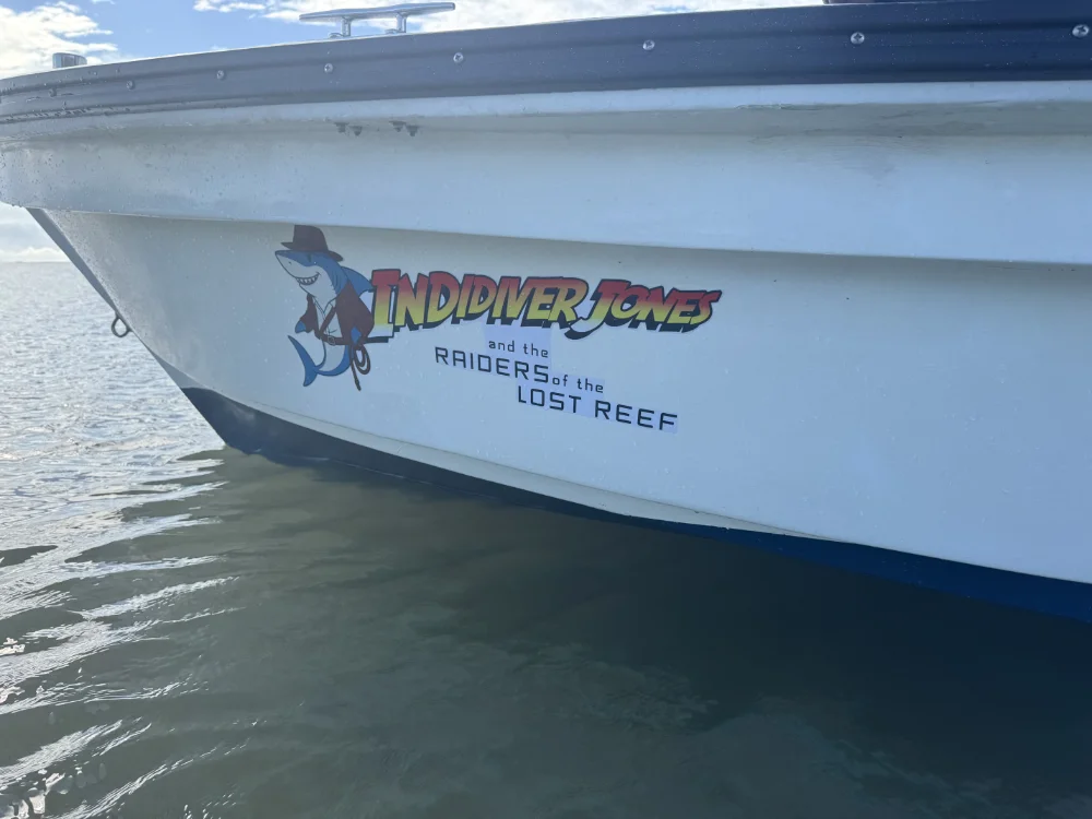 day 1 on indidiver jones