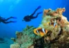 Why Do a Dive Course Package Combo in Kenya refer a friend