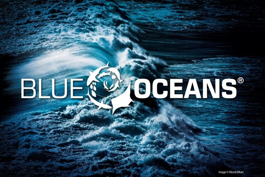 SSI Blue Oceans Program
