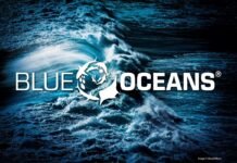 How the SSI Blue Oceans Program Helps Protect What We Love – And How You Can Get Involved SSI Blue Oceans Program