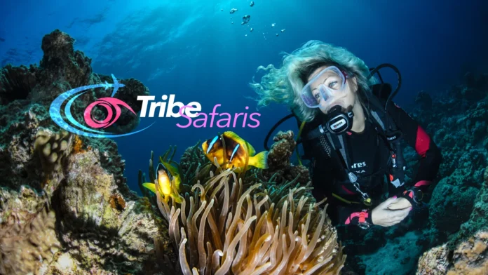 Ocean Tribe Safaris- Dive Travel