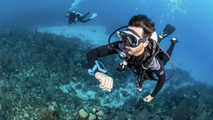dive career internships zero to hero