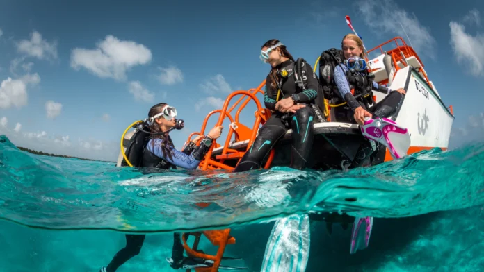 Dive instructor jobs