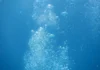 Scuba Diving Insurance in Kenya | Are You Covered? dive insurance