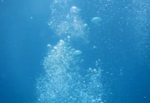Scuba Diving Insurance in Kenya | Are You Covered? dive insurance