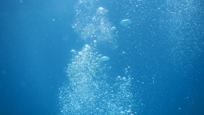dive insurance