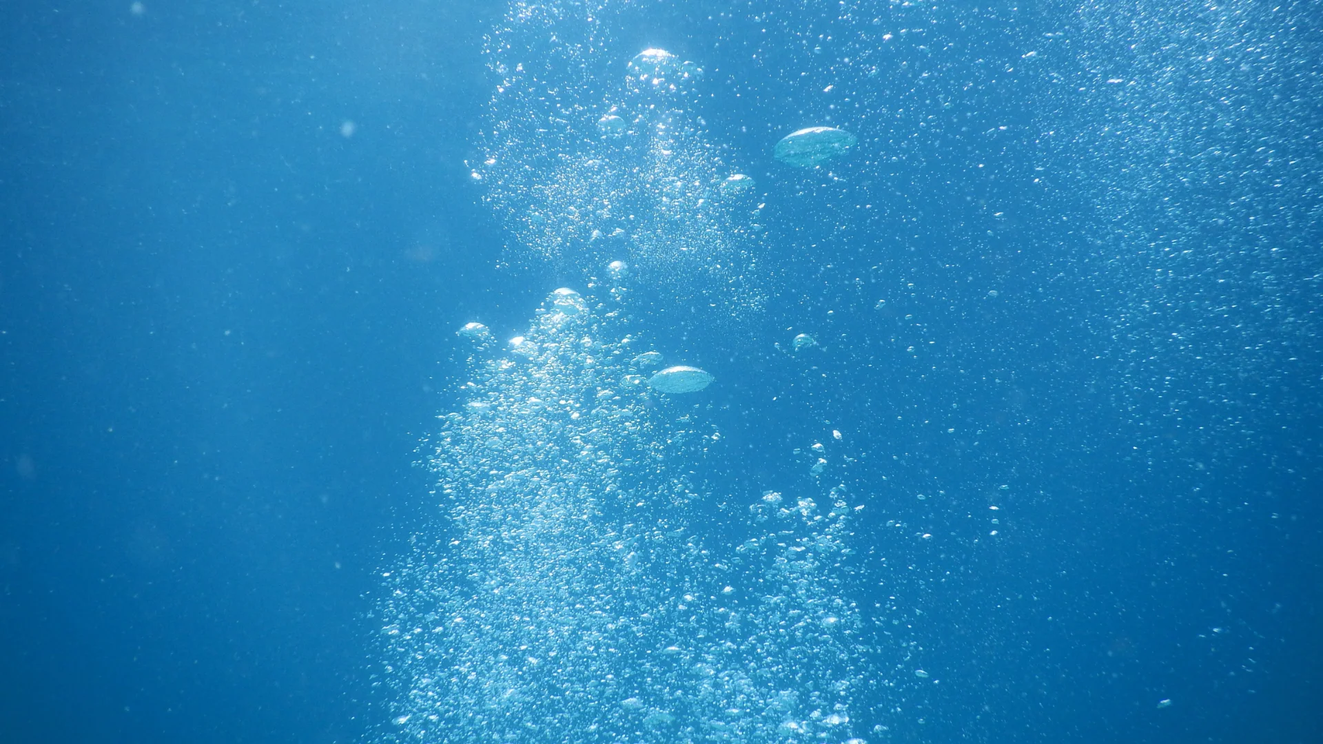 dive insurance