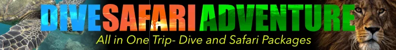 Dive and Safari Packages