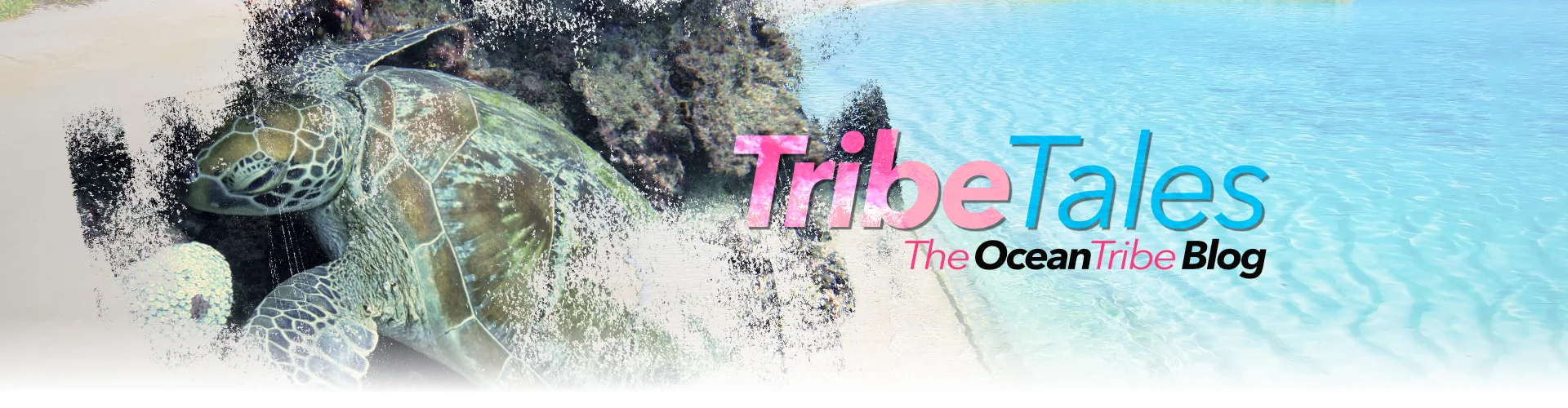 Tribe tales