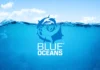 Free Diani Cleanup Dive | Ocean Tribe free dive in diani underwater cleanup
