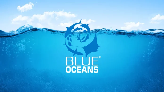 free dive in diani underwater cleanup