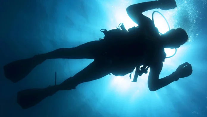 PADI IDC or SSI ITC?