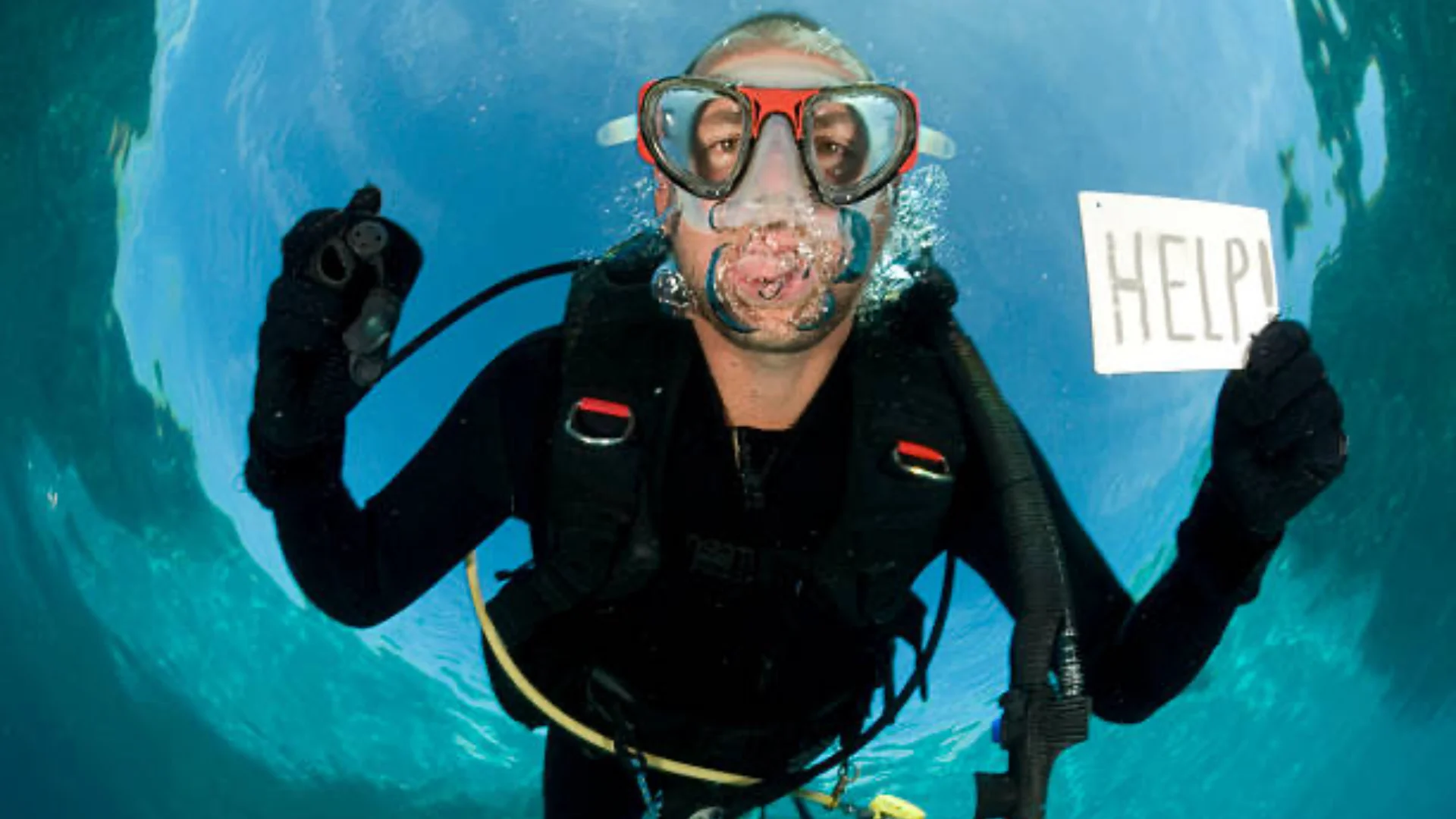 annoy scuba divers annoy scuba divers