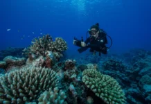 Transform Your Life: Discover a New World Under the Ocean Transform your life and learn to dive