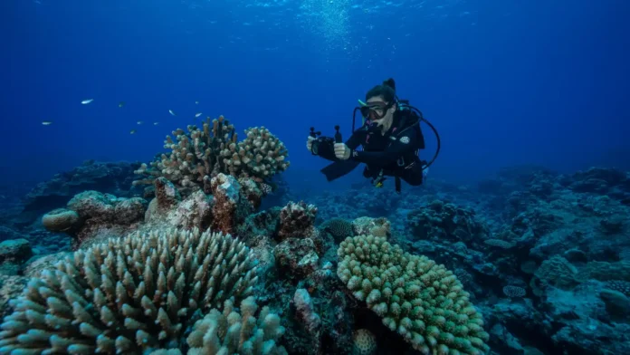 Transform your life and learn to dive