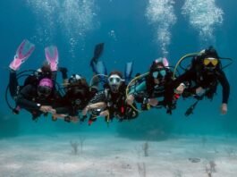 Dive life