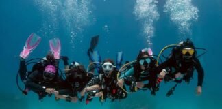 Dive Group Bookings Dive life