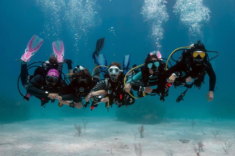 Dive life