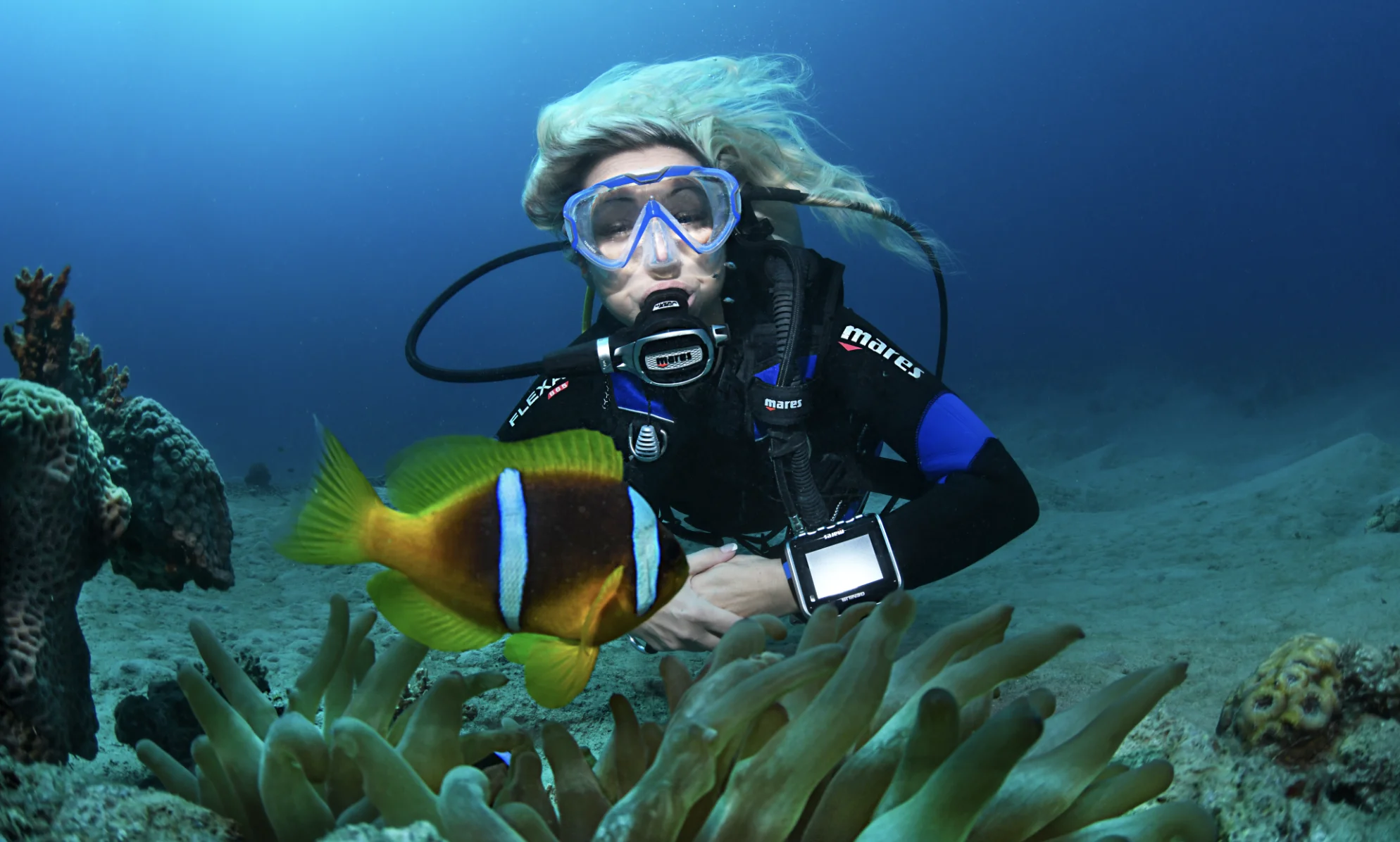 Dzinani coral reef dive site in Diani, Kenya
