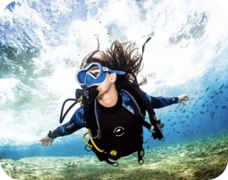 scuba diving courses padi and ssi