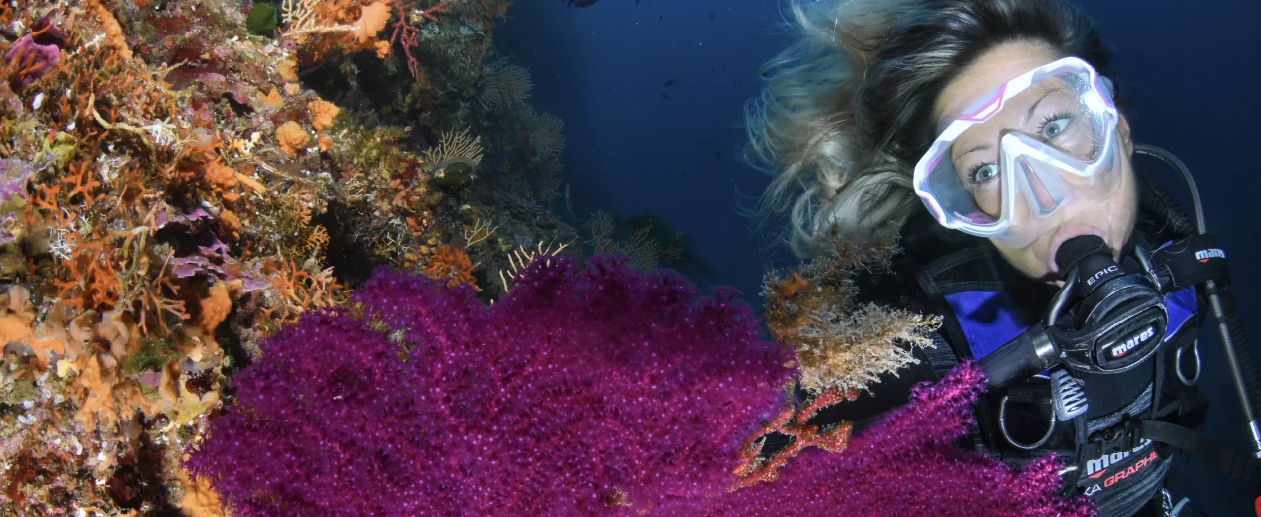 learn to dive in kenya