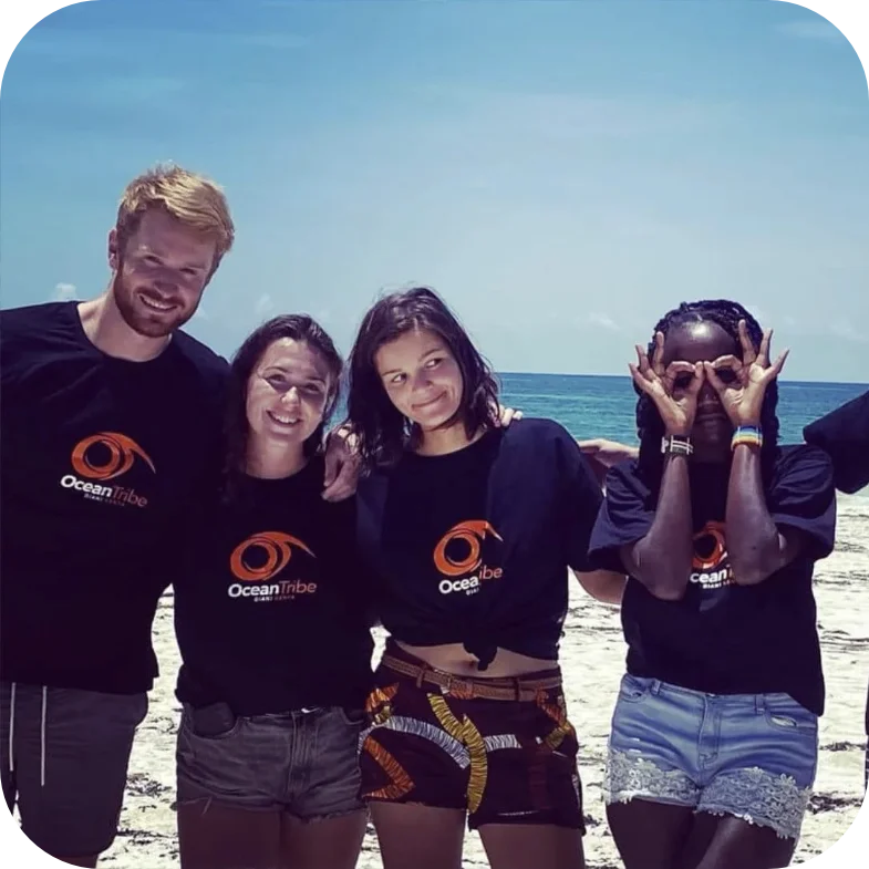 scuba diving internships