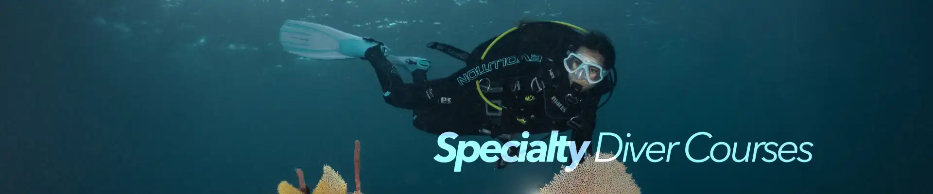 Specialty Diver Course